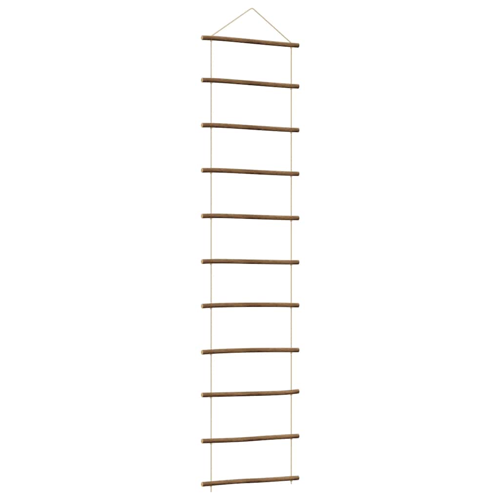 Wall Decoration Ladder-Shaped 50x200 cm Natural Branch
